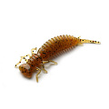 6.0"