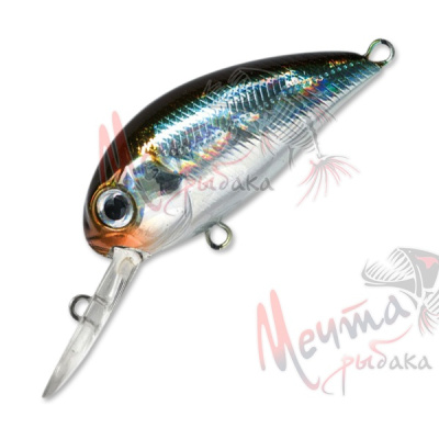 Воблер P21 HYPNOSE 38F-MDR #005